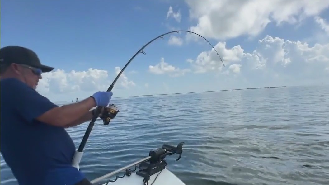 Mak'n Waves: Tarpon in Tampa Bay