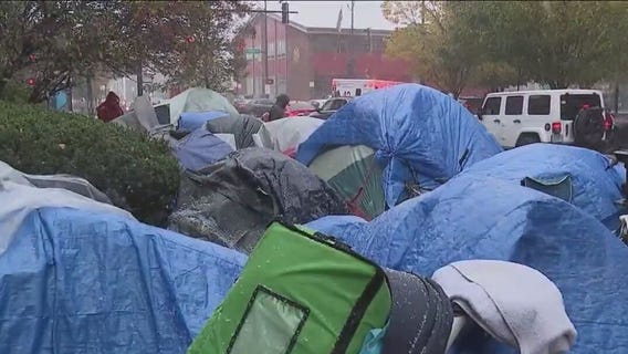 Migrants in Chicago: Council delays vote on sanctuary city referendum