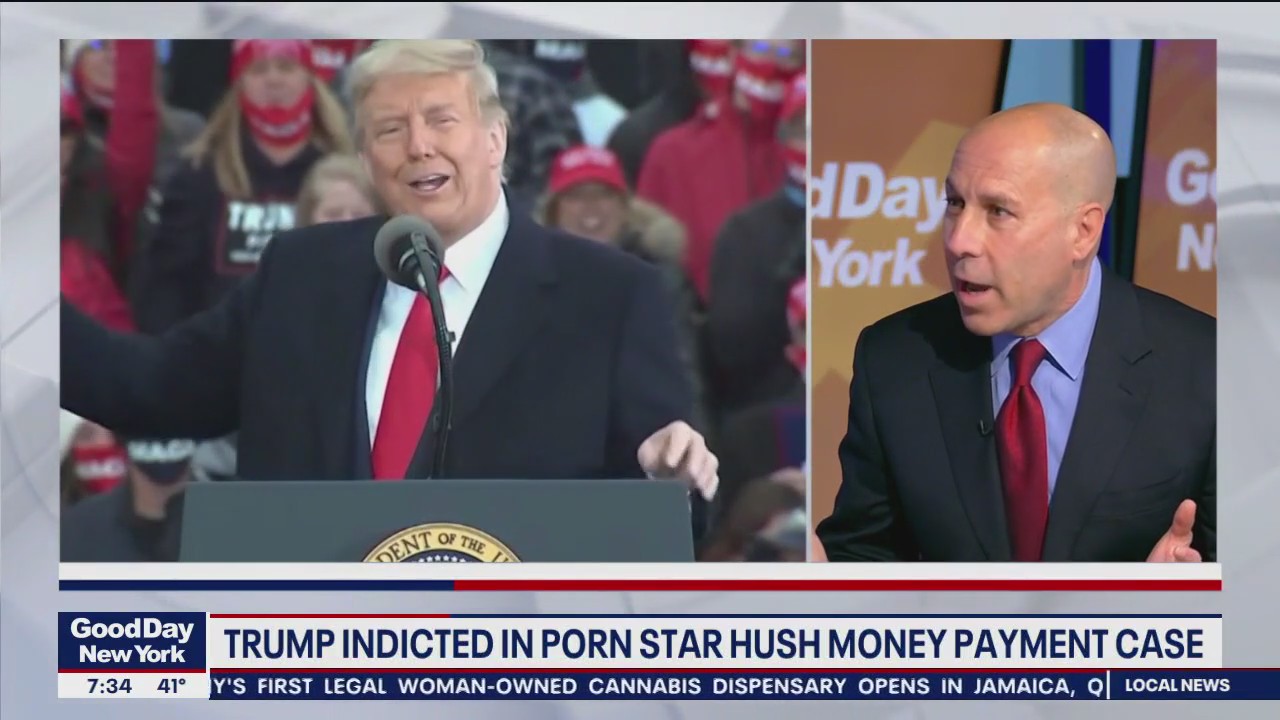 Former prosecutor Peter Frankel on Trump indictment: 'You can indict a ham sandwich'