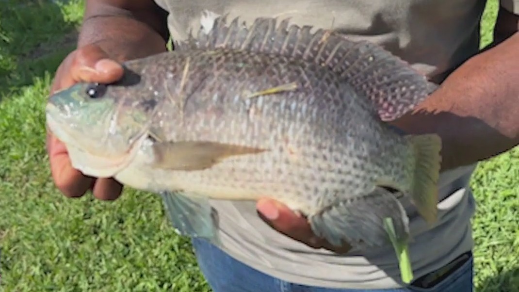 Non-profit introduces children to outdoors