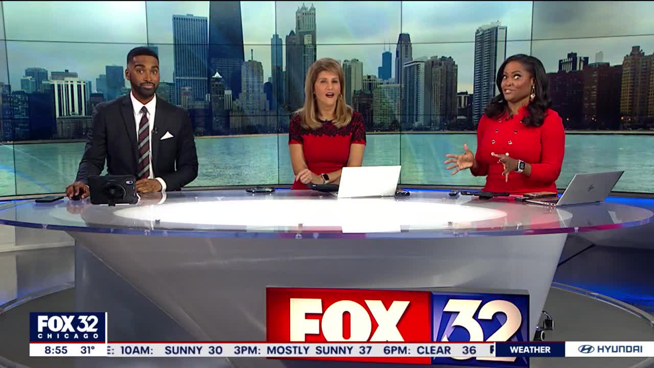 Close encounters at the Shedd Aquarium.