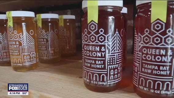 Queen and Colony Bee Company in St. Pete