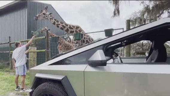 Cyber Truck Safari in Pasco County