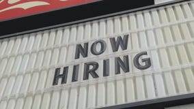 Free career, job search advice to those who call a hotline