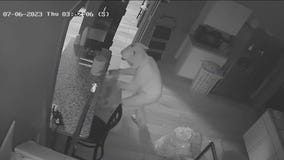 Jaw-dropping moments caught on camera in 2023