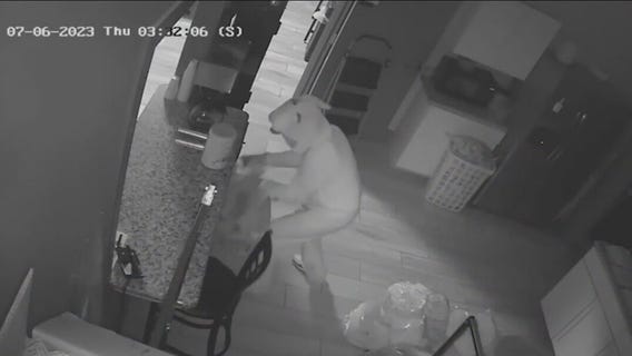 Jaw-dropping moments caught on camera in 2023