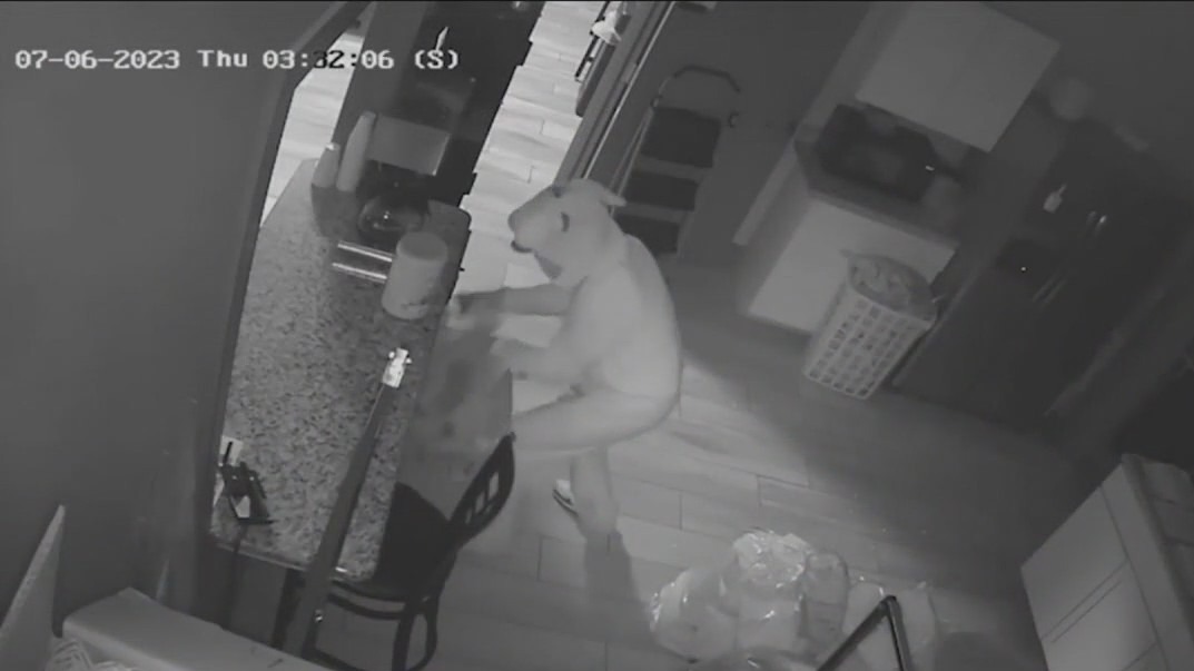 Jaw-dropping moments caught on camera in 2023