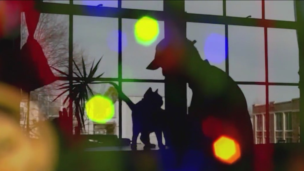 Health Watch: The benefits of practicing gratitude