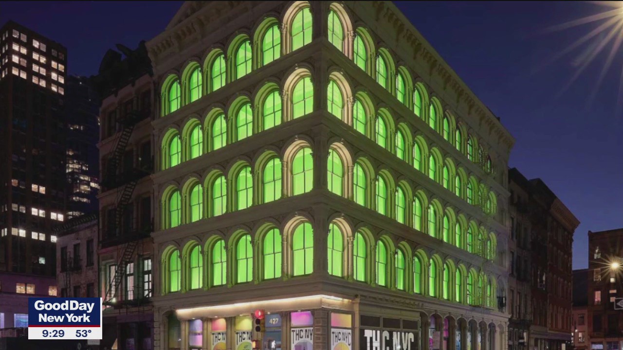 THC NYC: A look inside New York's new immersive weed museum