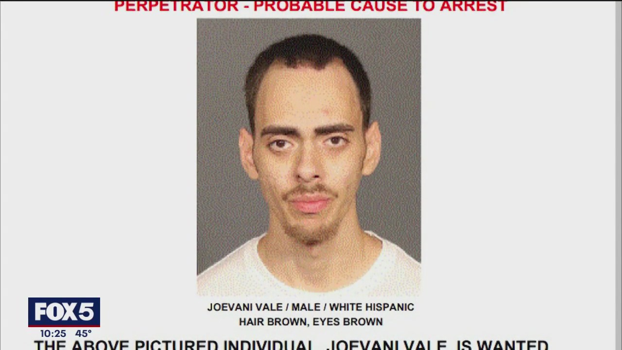 NYPD searching for suspect in Brooklyn stabbings | FOX 5 New York