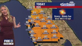 Tampa weather: Breezy, sunny Saturday