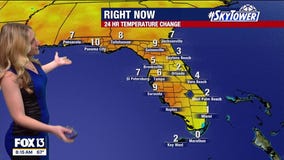 Tampa weather: Sunny and breezy