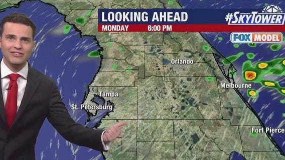 Tampa weather | Sunny and cool in the Tampa Bay region