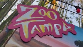 Creatures of the Night at ZooTampa