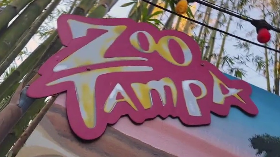 Creatures of the Night at ZooTampa