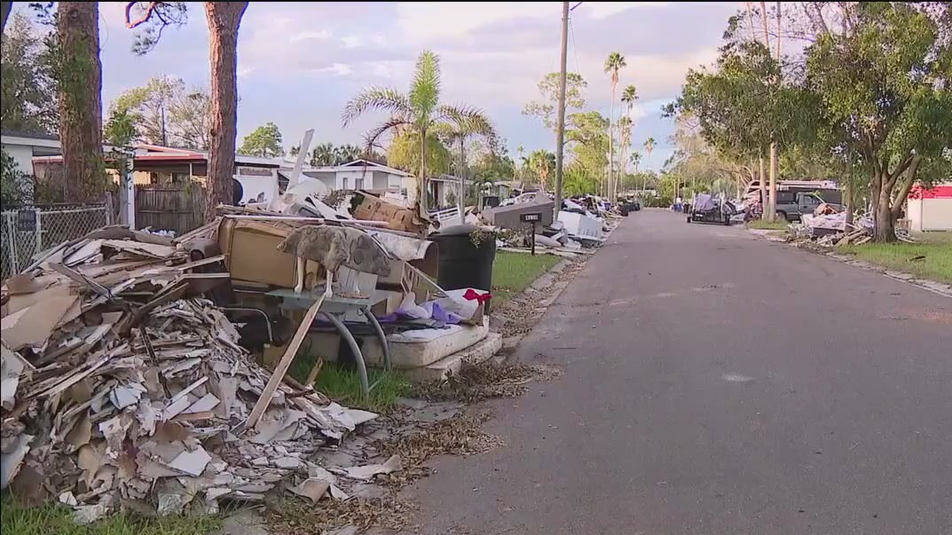 Shore Acres storm debris frustration