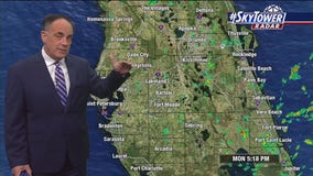 Tampa weather: Mostly clear Monday night