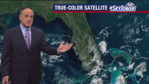 Tampa Weather | Mostly dry and warm