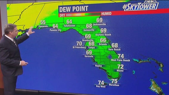 Tampa weather: Warm, breezy Tuesday