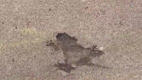 It's time to make it an official attraction: Name the Chicago Rat Hole!