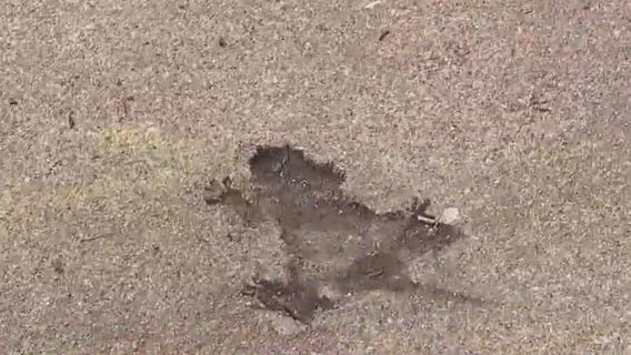 It's time to make it an official attraction: Name the Chicago Rat Hole!