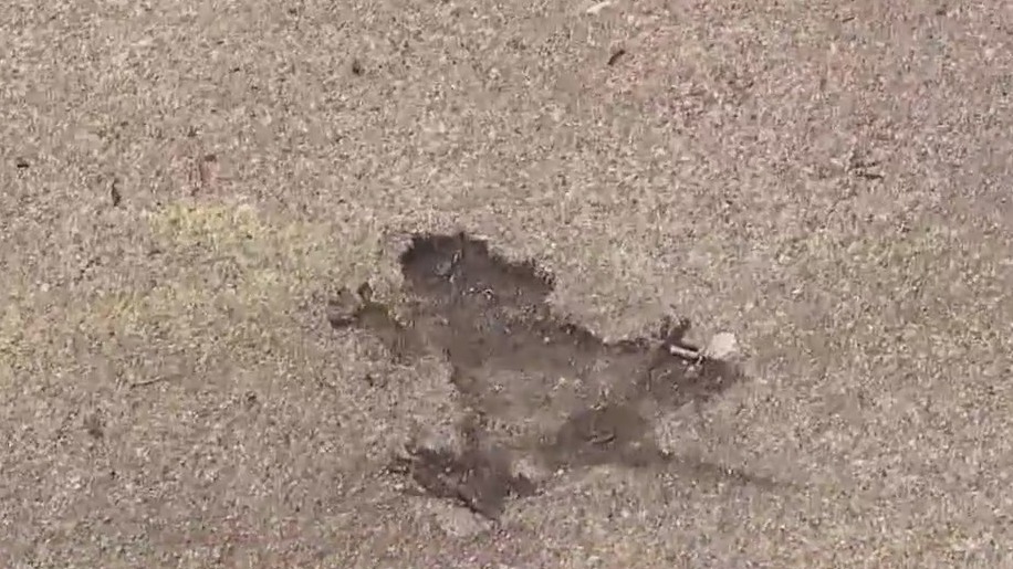 It's time to make it an official attraction: Name the Chicago Rat Hole!