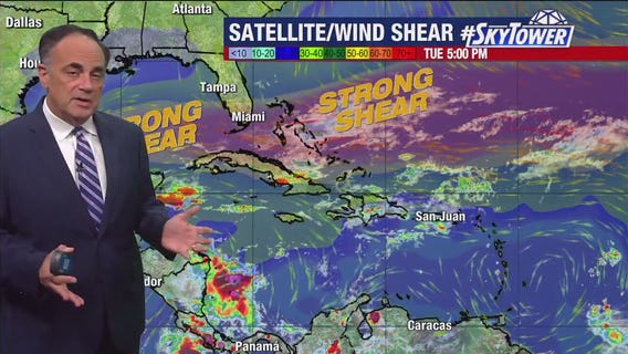 Tampa Weather | Mostly rain-free, warm