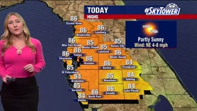 Tampa weather: Warm, sunny Saturday