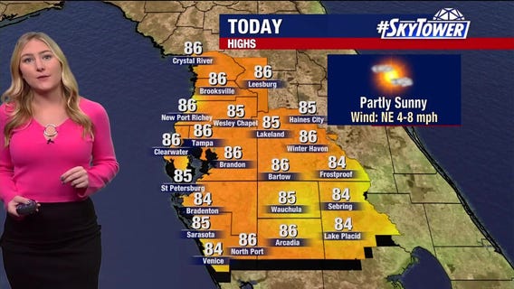 Tampa weather: Warm, sunny Saturday