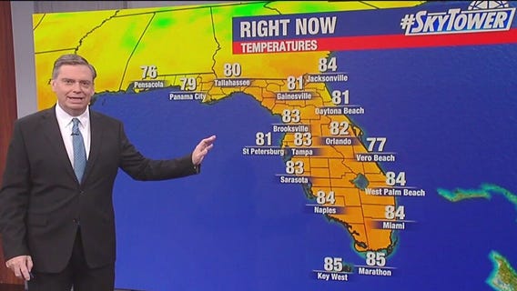 Tampa weather | Wednesday afternoon forecast