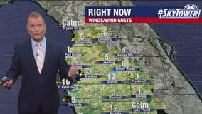 Tampa weather | Warm & breezy start to week