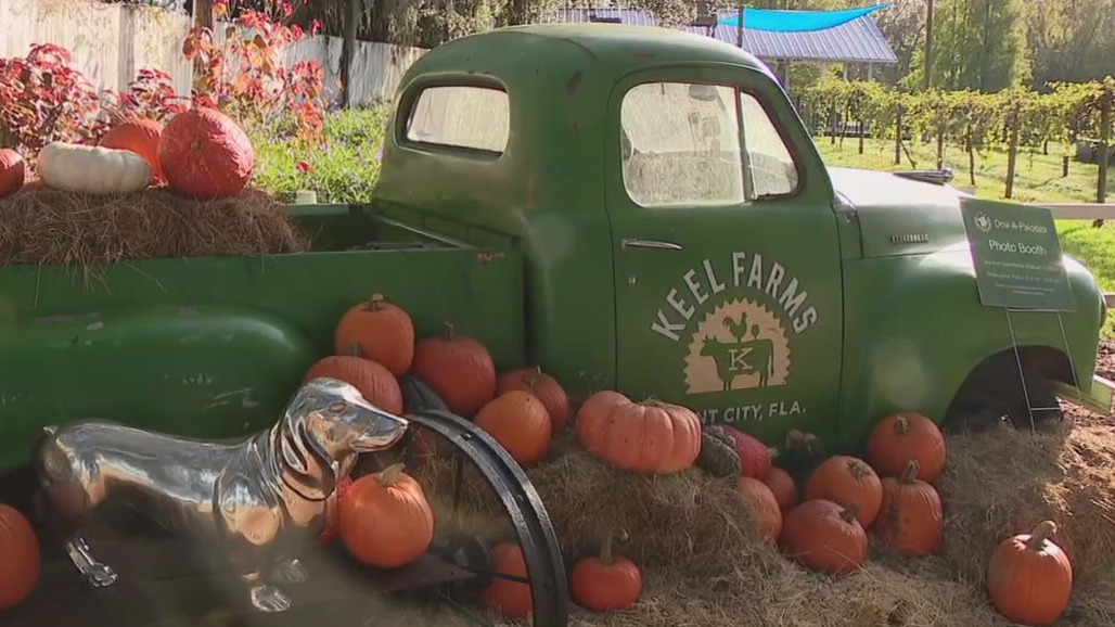 Charley's World | Keel Farms Fundraiser