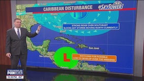 Tampa Weather | Seasonably warm