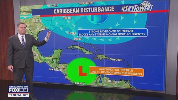 Tampa Weather | Seasonably warm