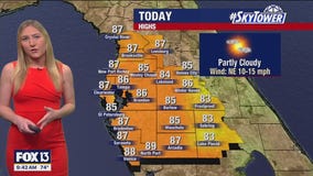 Tampa weather: Partly Cloudy Saturday