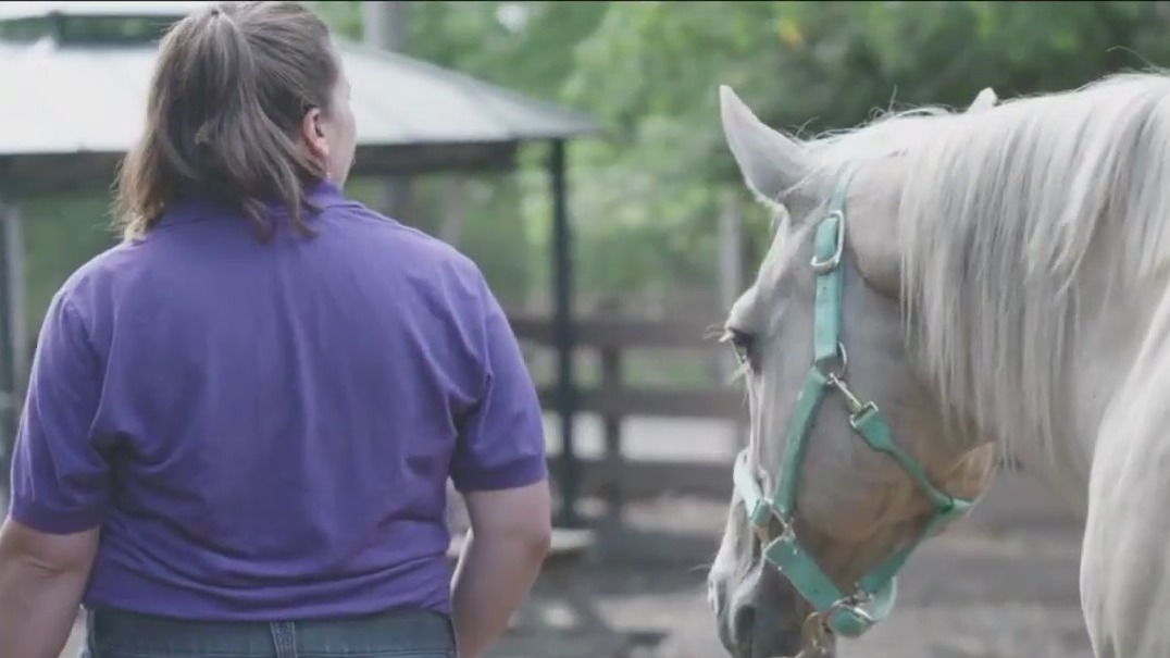 Manhattan rescue farm in dire need of more space