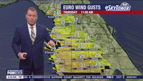 Tampa weather | Windy & humid