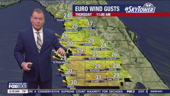 Tampa weather | Windy & humid