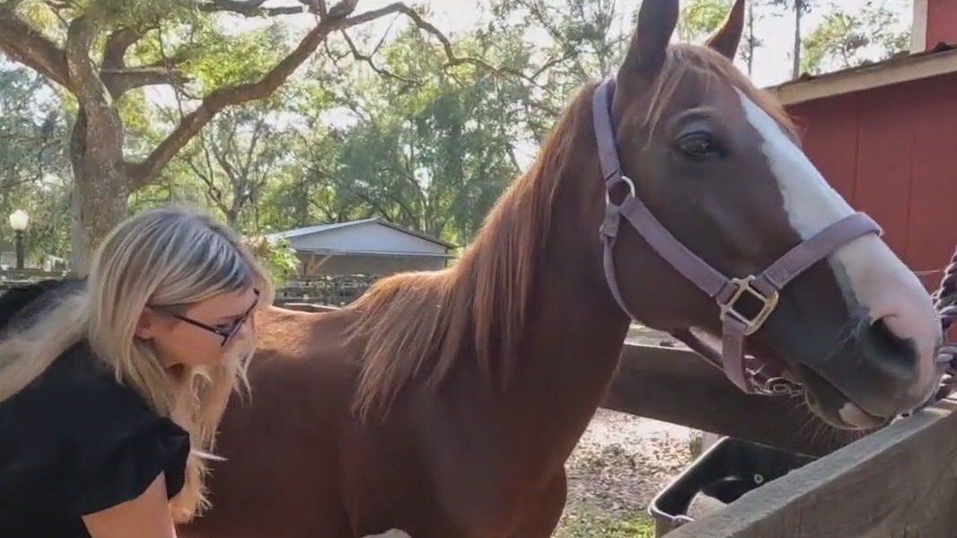Teen rescues horses left behind during Milton