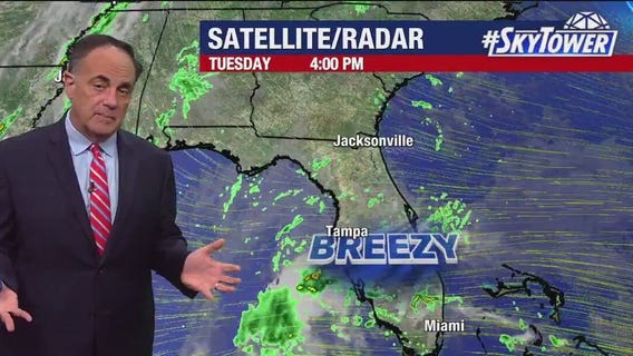 Tampa weather | Warm and breezy in Tampa