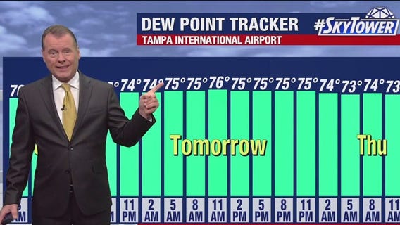Tampa weather | Humidity returns
