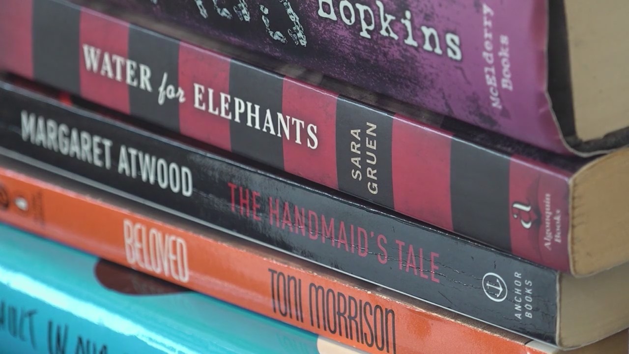 Goddard School of Chicago launches 11th annual book drive with ambitious goals