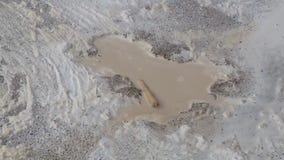 Chicago 'Rat Hole' sparks mixed reactions from neighbors