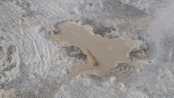 Chicago 'Rat Hole' sparks mixed reactions from neighbors