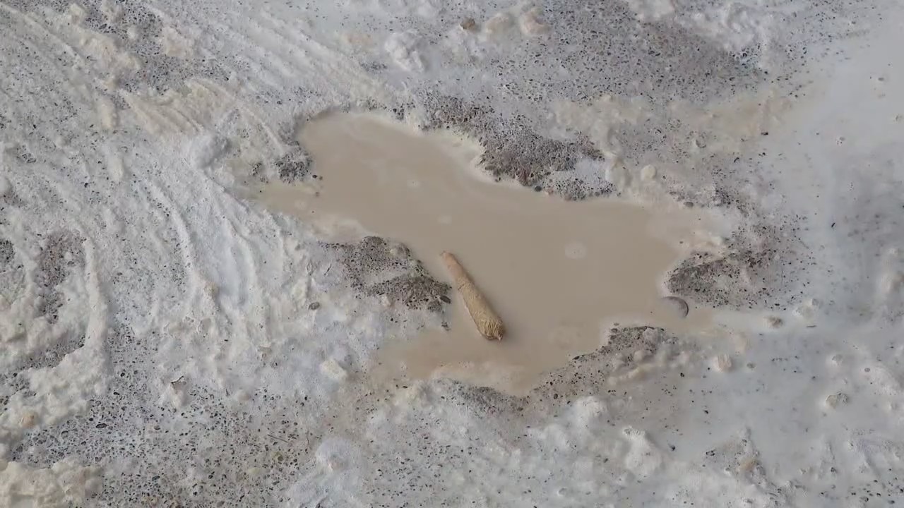 Chicago 'Rat Hole' sparks mixed reactions from neighbors