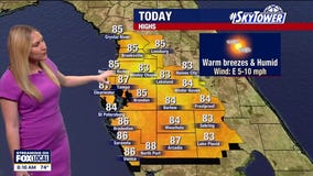 Tampa weather: Warm breezes on Saturday