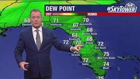 Tampa weather | Warm & humid start to week