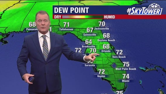 Tampa weather | Warm & humid start to week