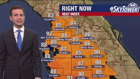 Tampa weather | Warm temperatures with falling humidity in Tampa