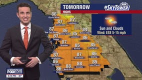 Tampa weather: Saturday evening forecast
